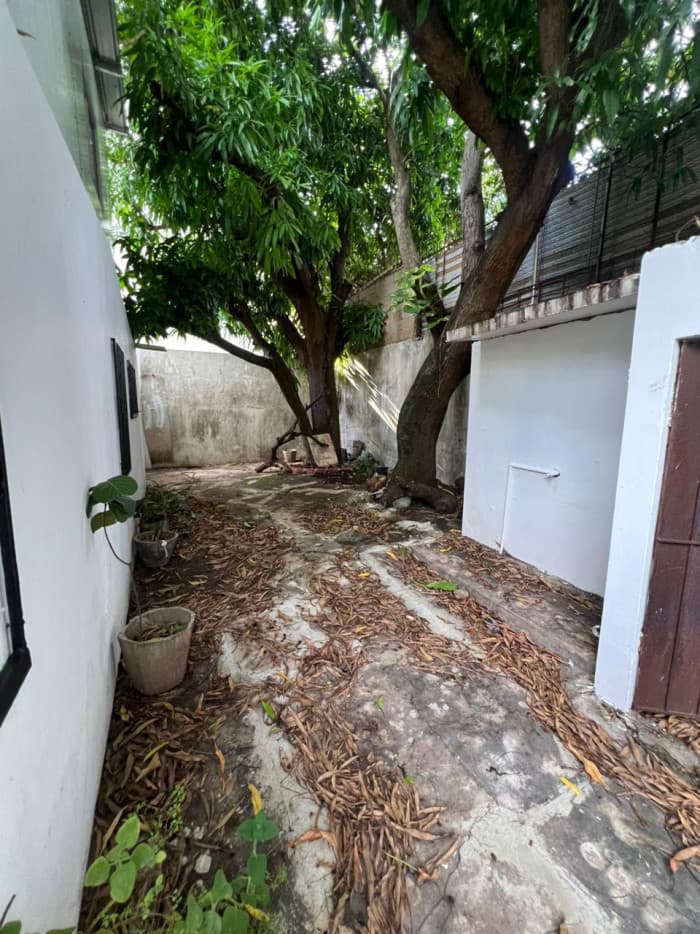 En Alquiler Local Comercial de 325 Mt2 en Mirador Sur - foto 3