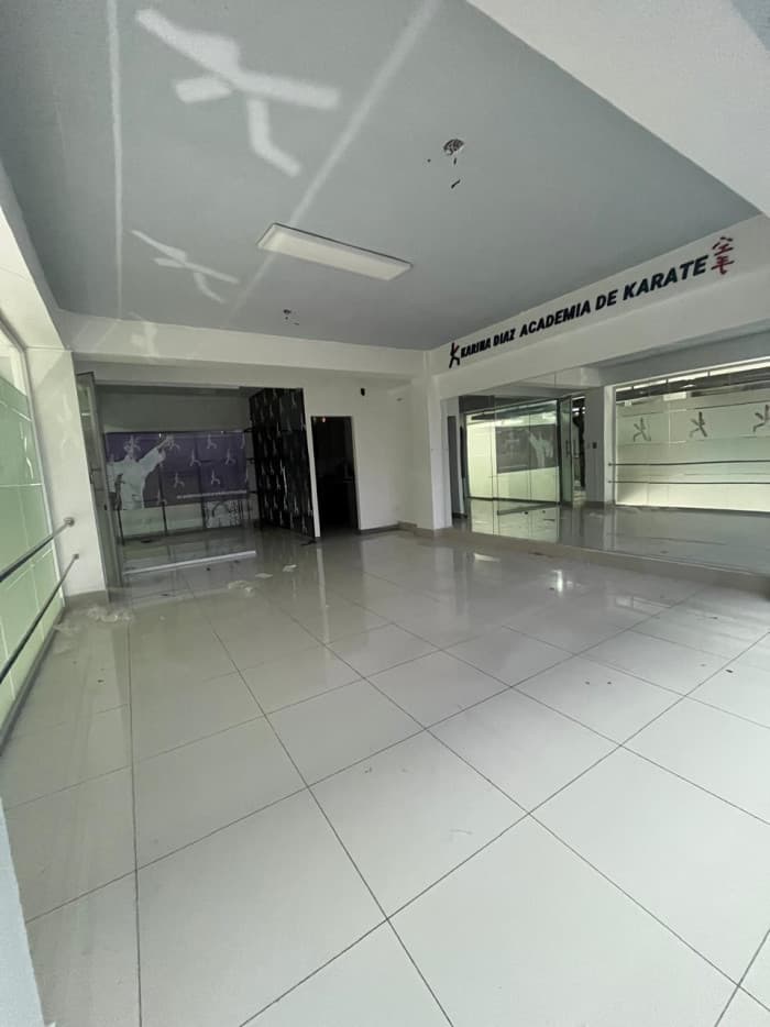 Local Comercial en el Millon en Alquiler - foto 2