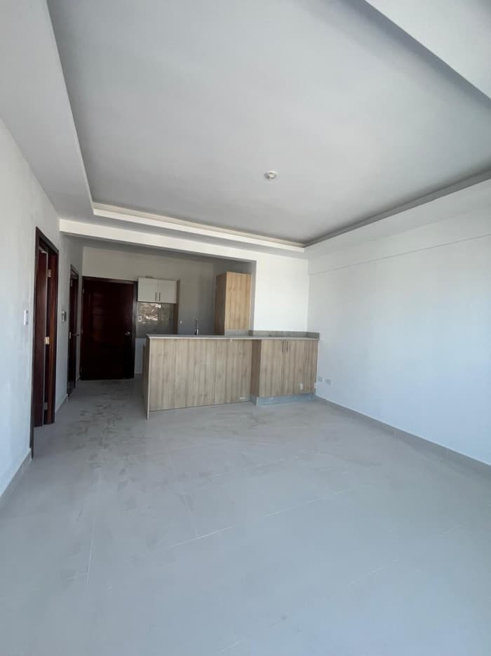 Apartamento en Venta en Gazcue - foto 4