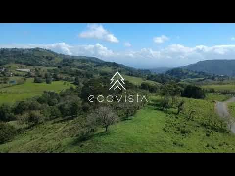 Video Recorrido