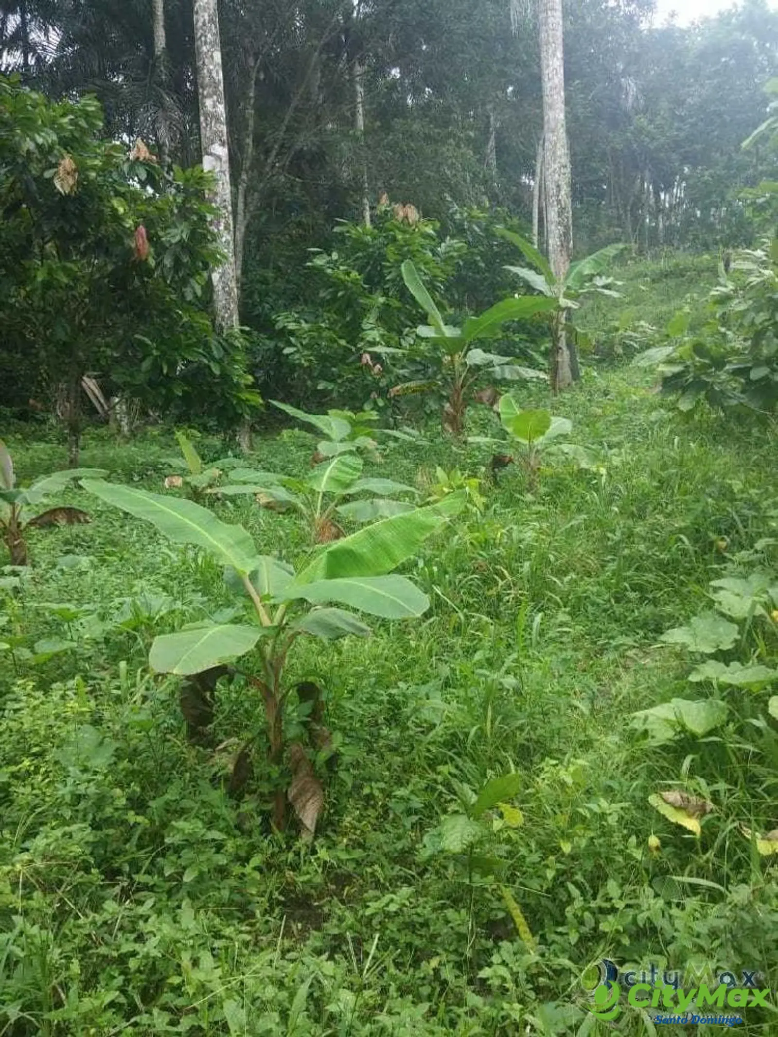 Terreno y/o finca en Venta en Sabana Perdida - foto 1