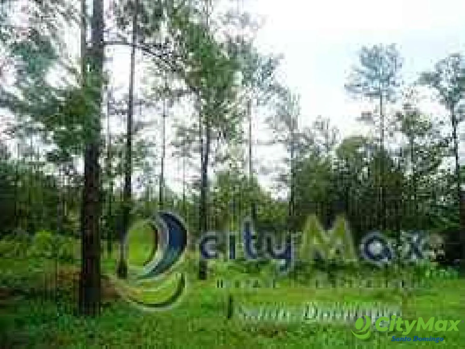 TERRENO EN VENTA PARA CONSTRUIR VILLA EN JARABACOA - foto 1