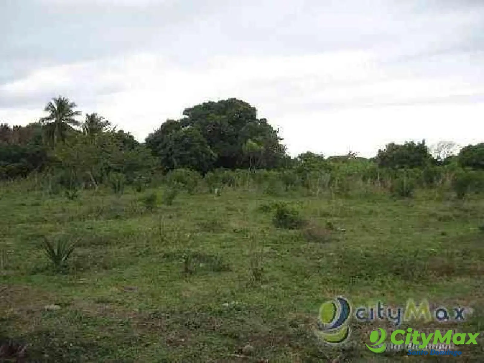 TERRENO EN VENTA EN JARABACOA - foto 1