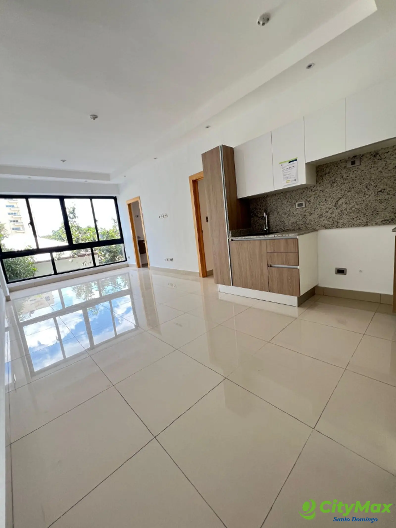 Apartamento en Venta en Renacimiento, Santo Domingo Distrito Nacional - foto 1