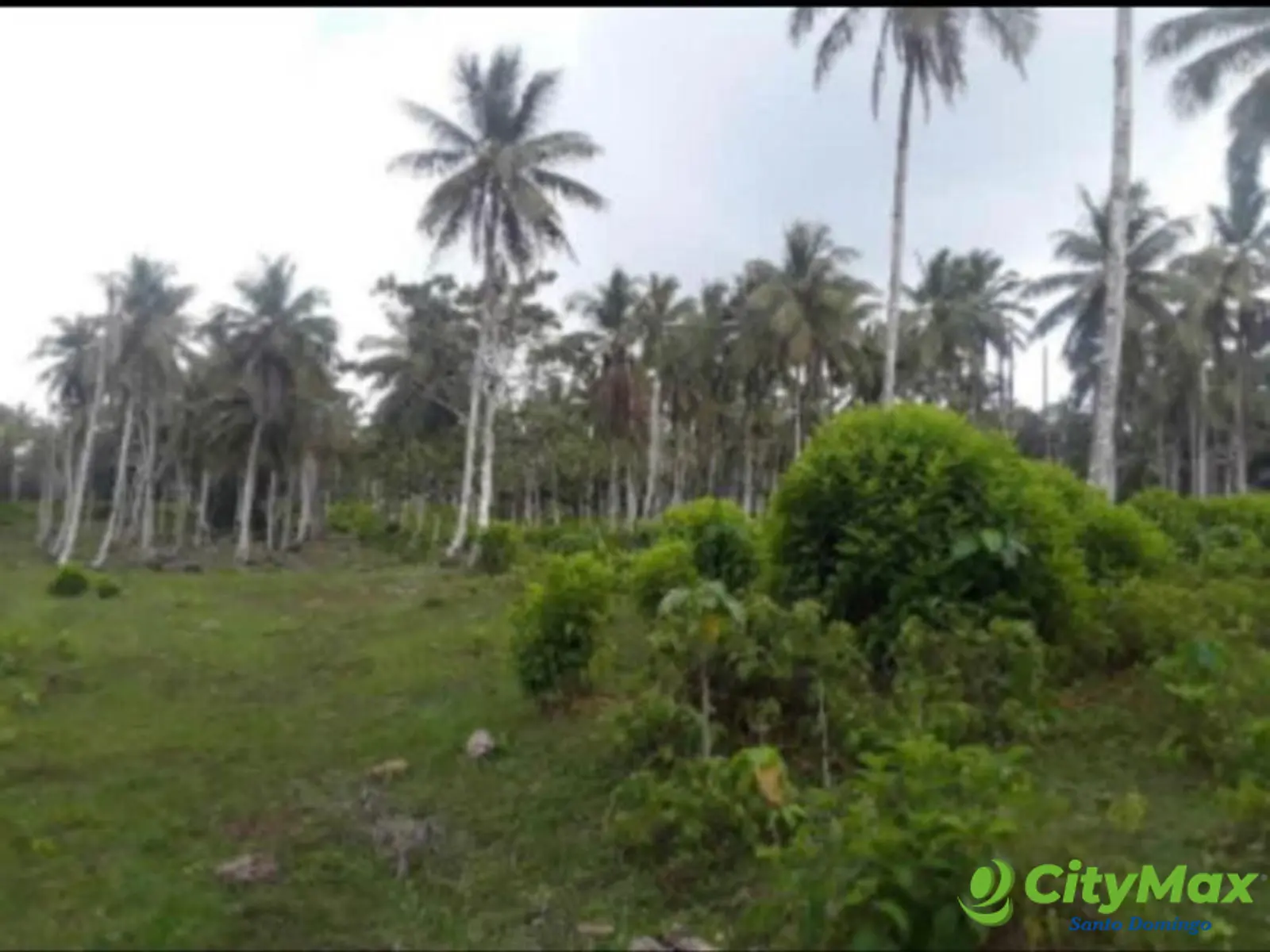 Finca en venta en Samaná - foto 8