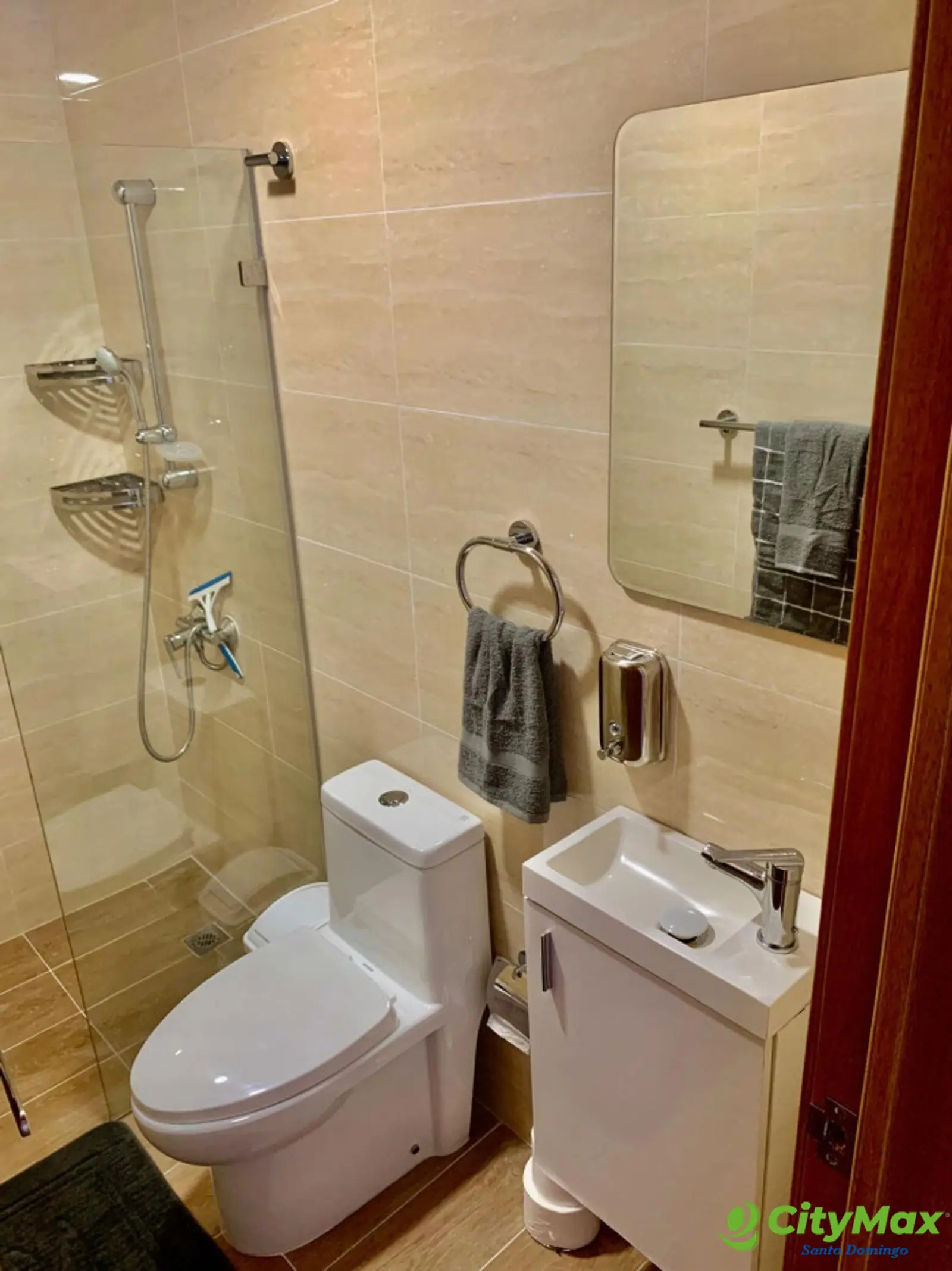 Apartamento en Venta y Renta en Bella Vista, Santo Domingo - foto 10