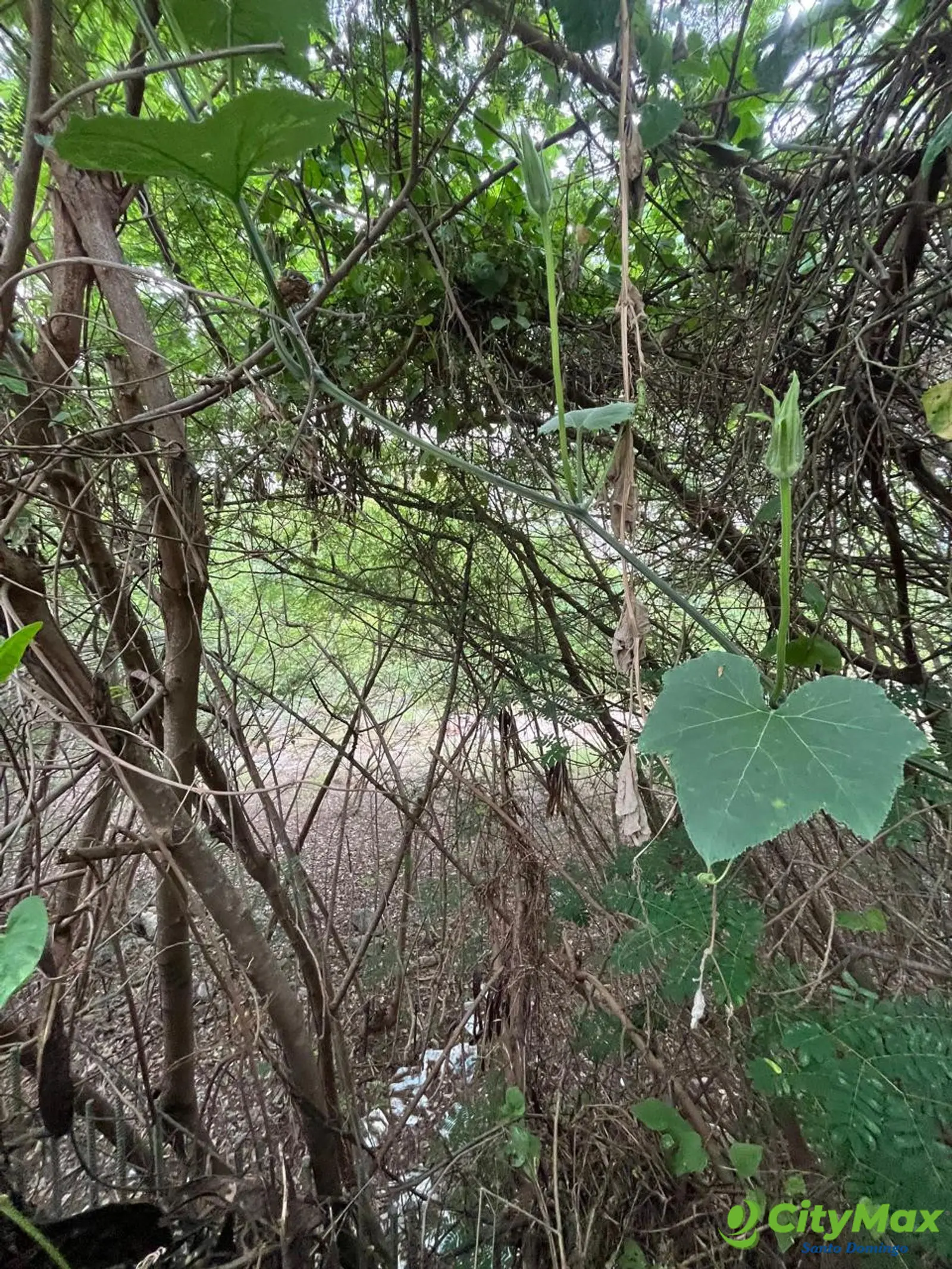 Vendo terreno en la avenida anacaona casi esq Luperon - foto 5