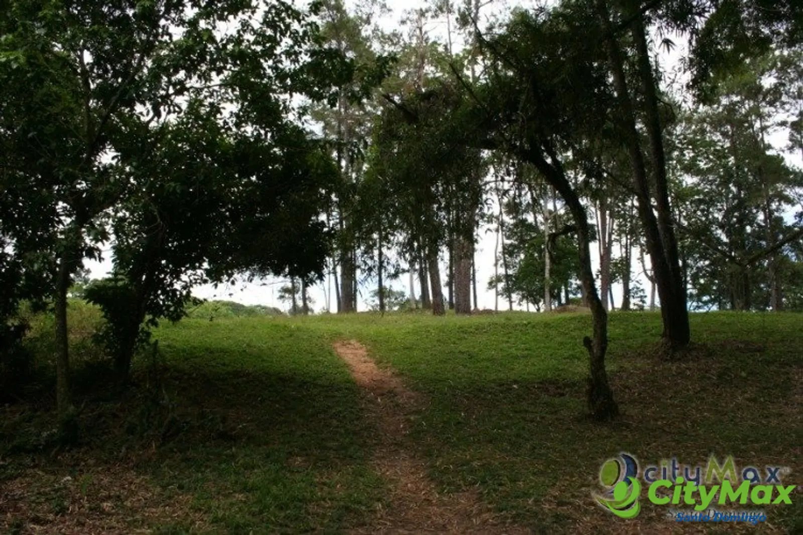 Finca en venta en Buena Vista Jarabacoa incluye cabaña  - foto 8
