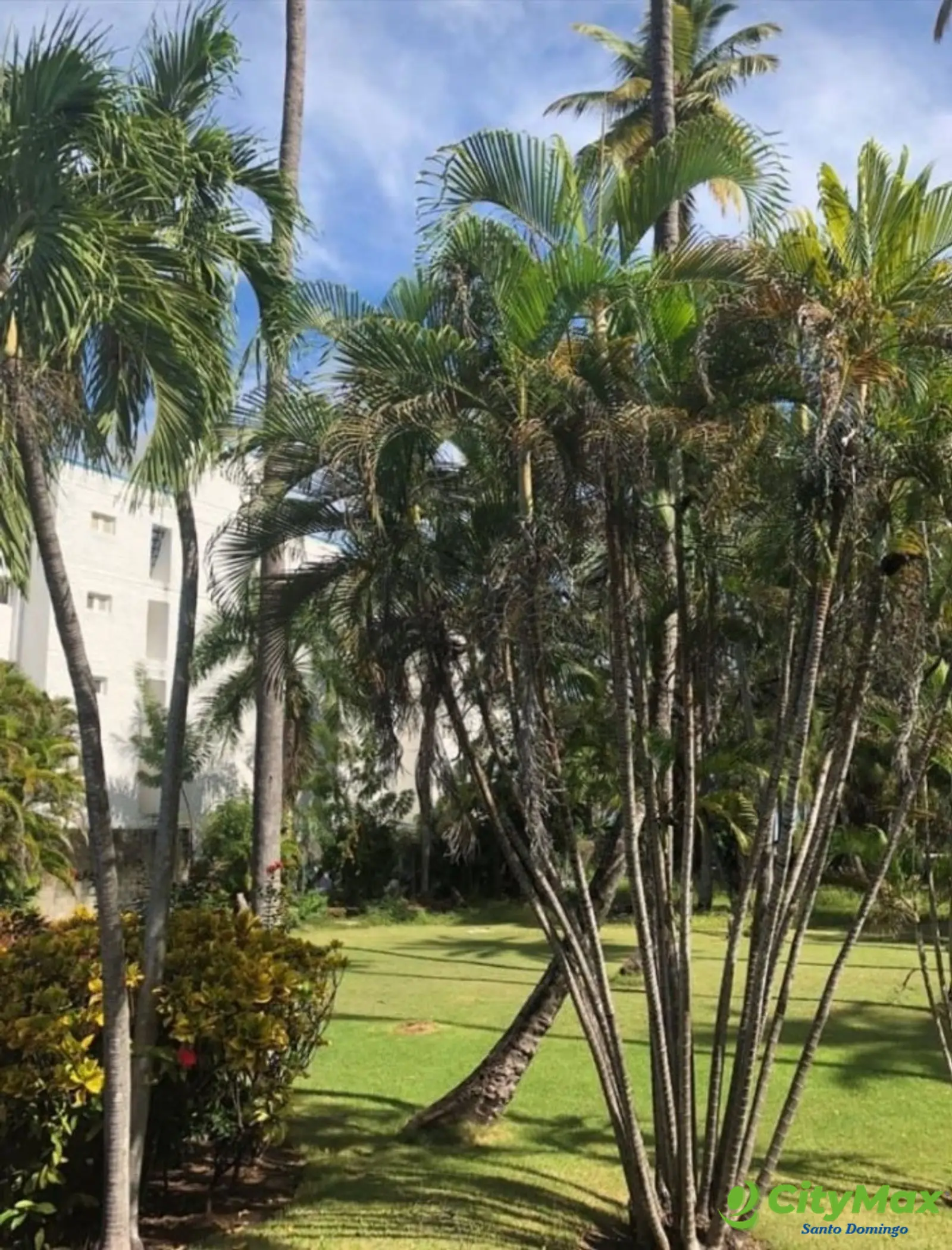 Terreno en venta Primera Linea de Playa en Barahona - foto 7