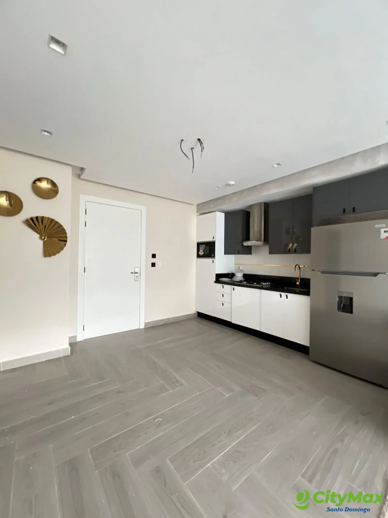 Apartamento en Alquiler y Venta en Naco  - foto 3