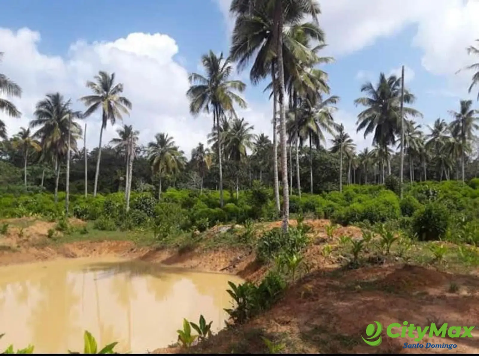 Finca en venta en Samaná - foto 3