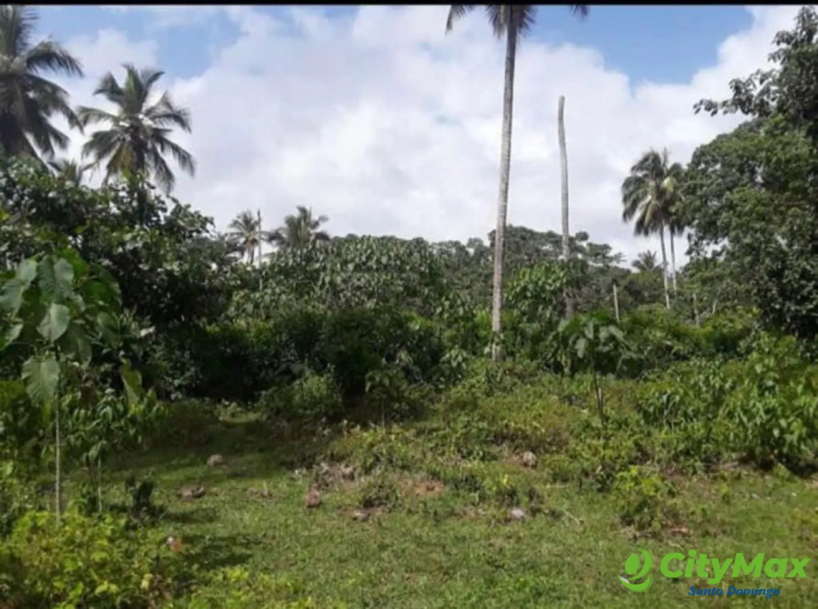 Finca en venta en Samaná - foto 5