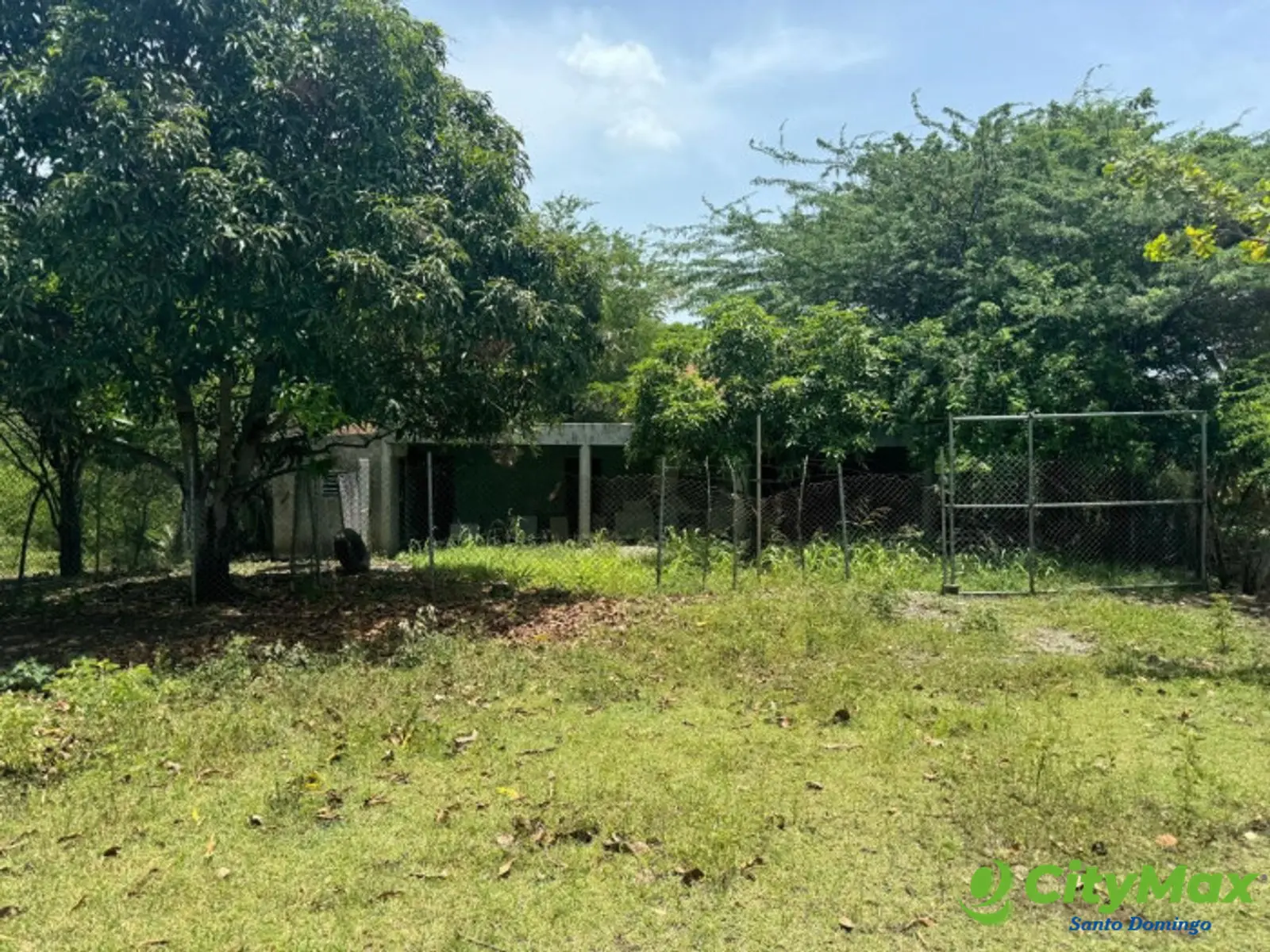 Terreno en Venta en Bani con ganado - foto 2