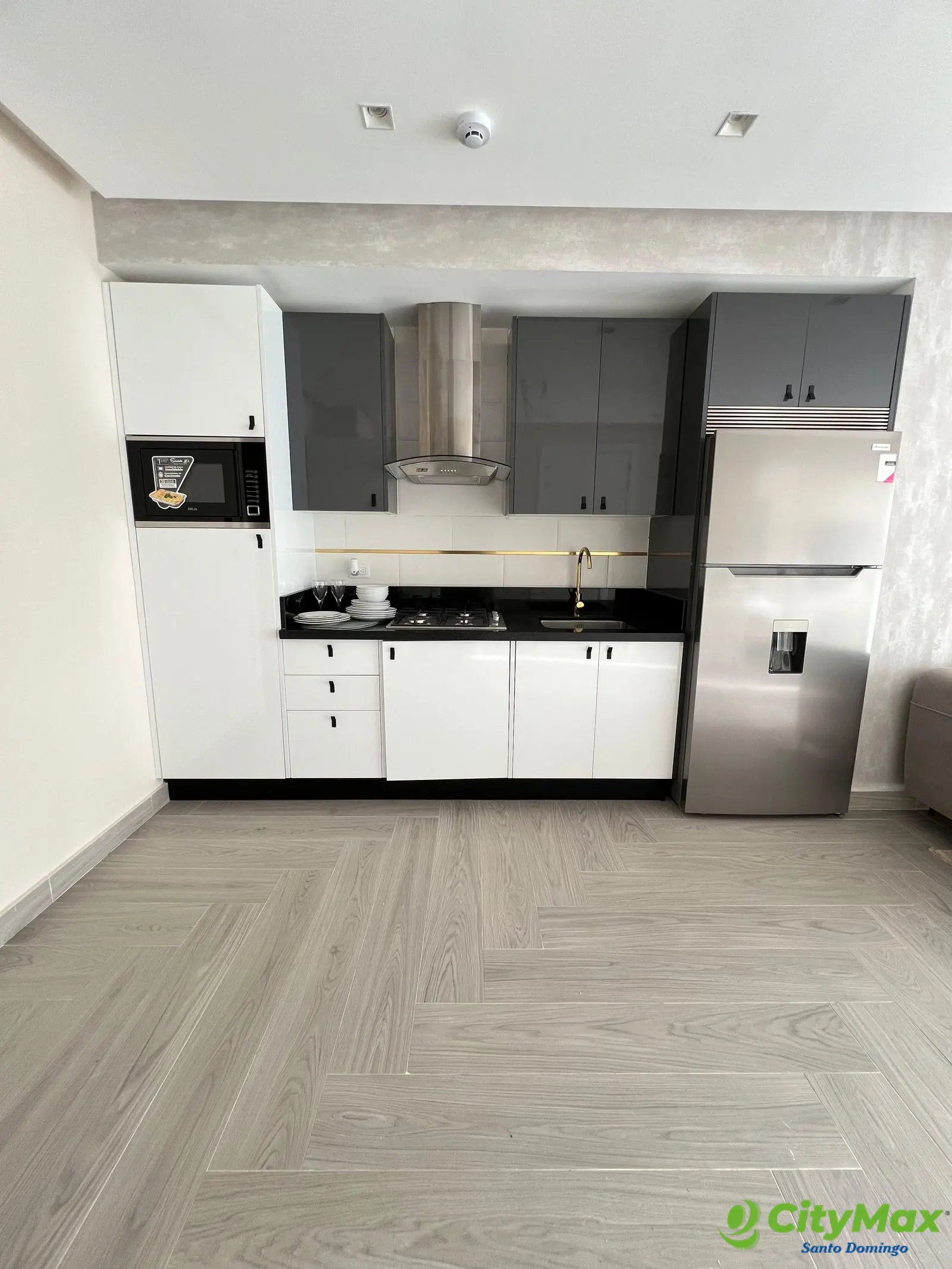 Apartamento en Alquiler y Venta en Naco  - foto 4