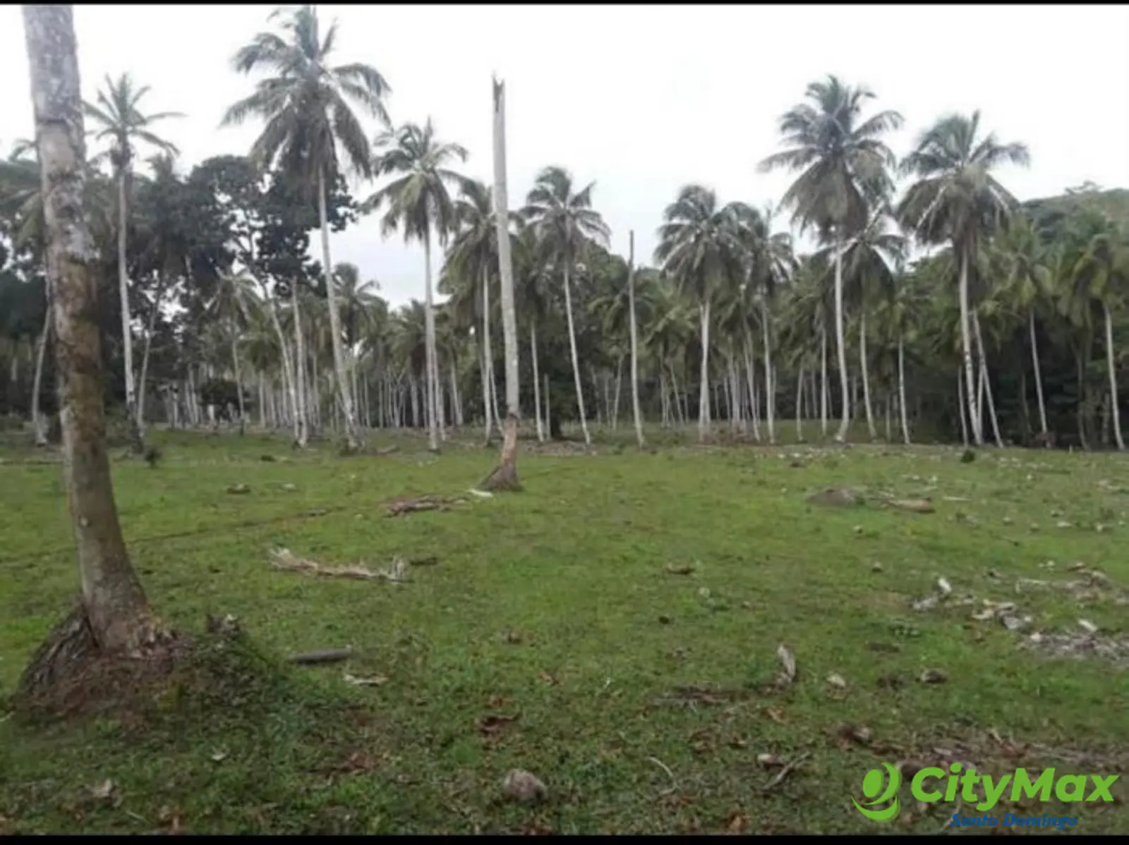Finca en venta en Samaná - foto 7