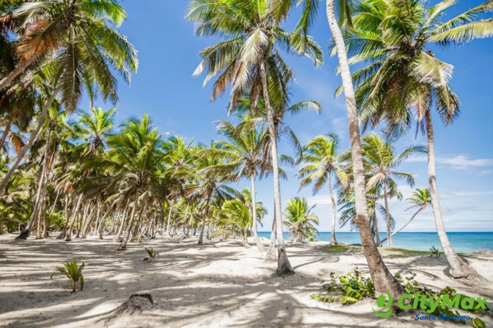 Apartamento en venta en Uvero Alto Punta Cana  - foto 4