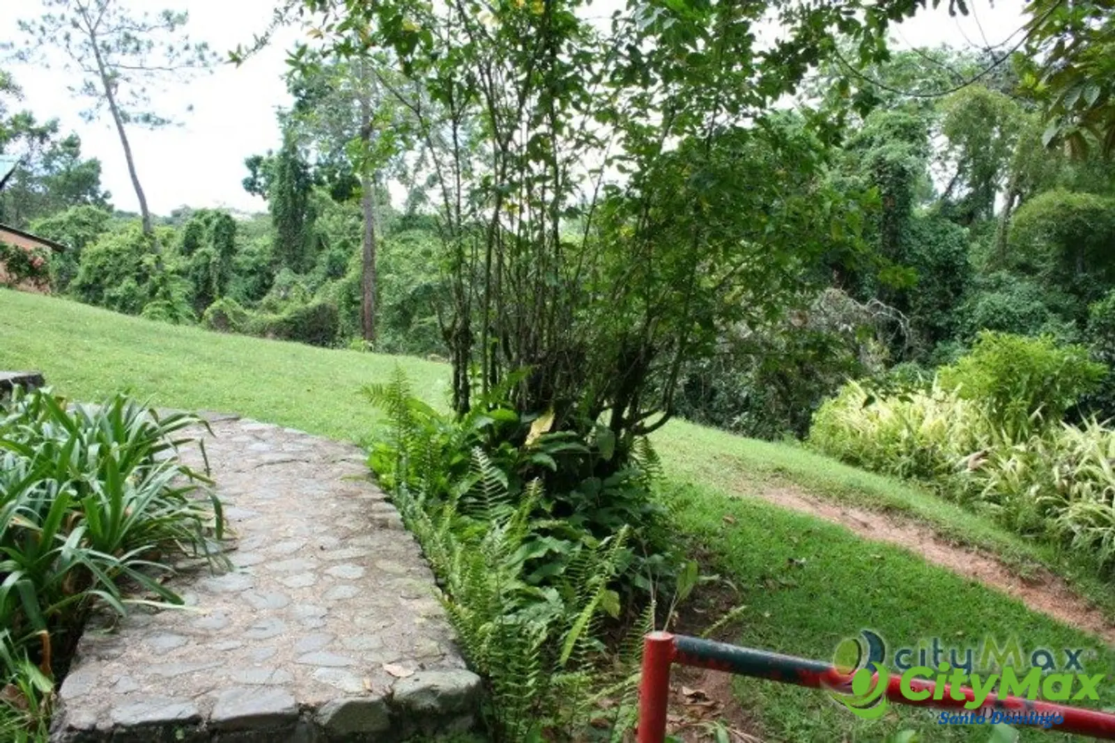 Finca en venta en Buena Vista Jarabacoa incluye cabaña  - foto 14