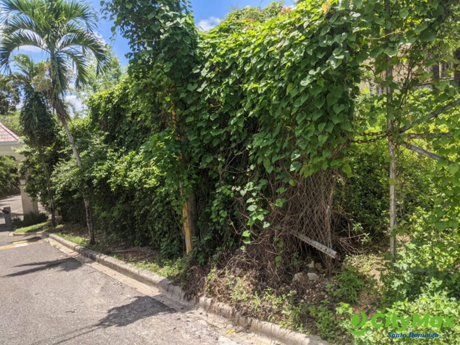SOLAR EN VENTA EN CUESTA HERMOSA III ARROYO HONDO SANTO DOMINGO REPUBLICA DOMINICANA  - foto 3