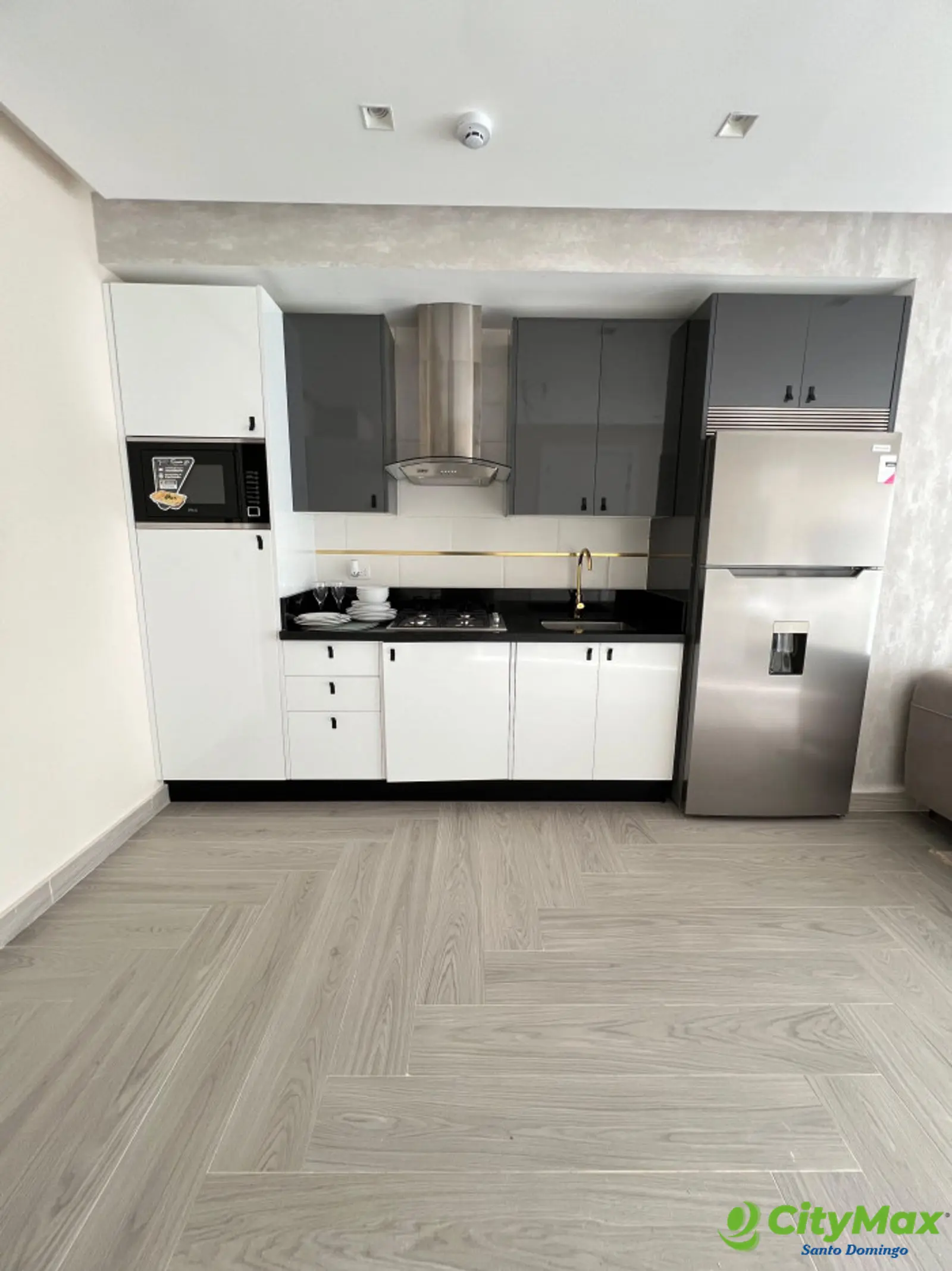 Apartamento de 1 habitacion en Venta y renta en naco - foto 5