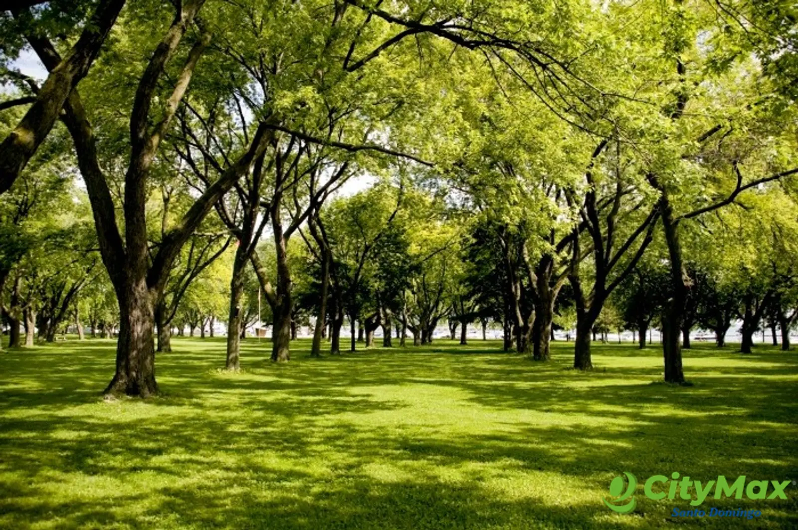 Apartamento en Punta Cana de 2 Habitaciones en Venta - foto 7