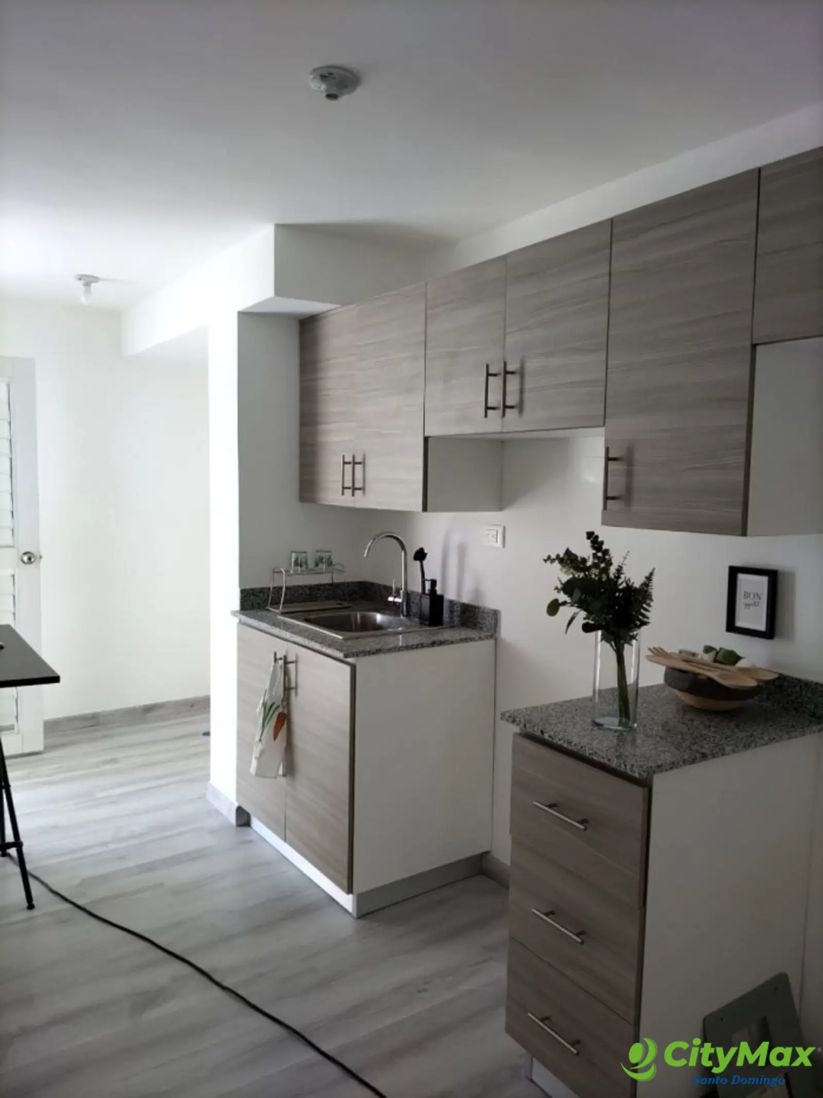 Apartamento en Venta en Buena Vista I villa mella - foto 4