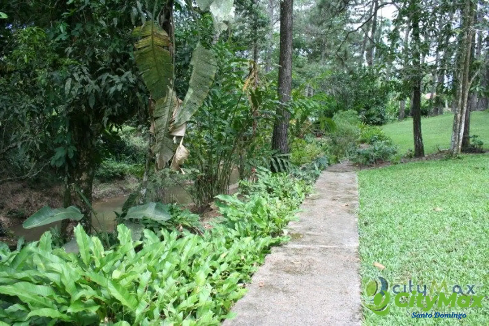 Finca en venta en Buena Vista Jarabacoa incluye cabaña  - foto 11