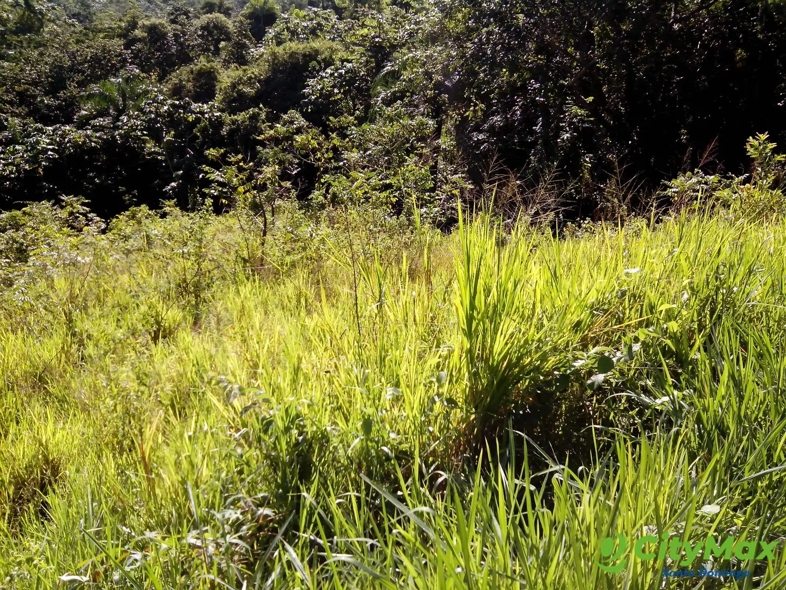 Solar en venta villa Altagracia en Proyecto Cerrado - foto 4