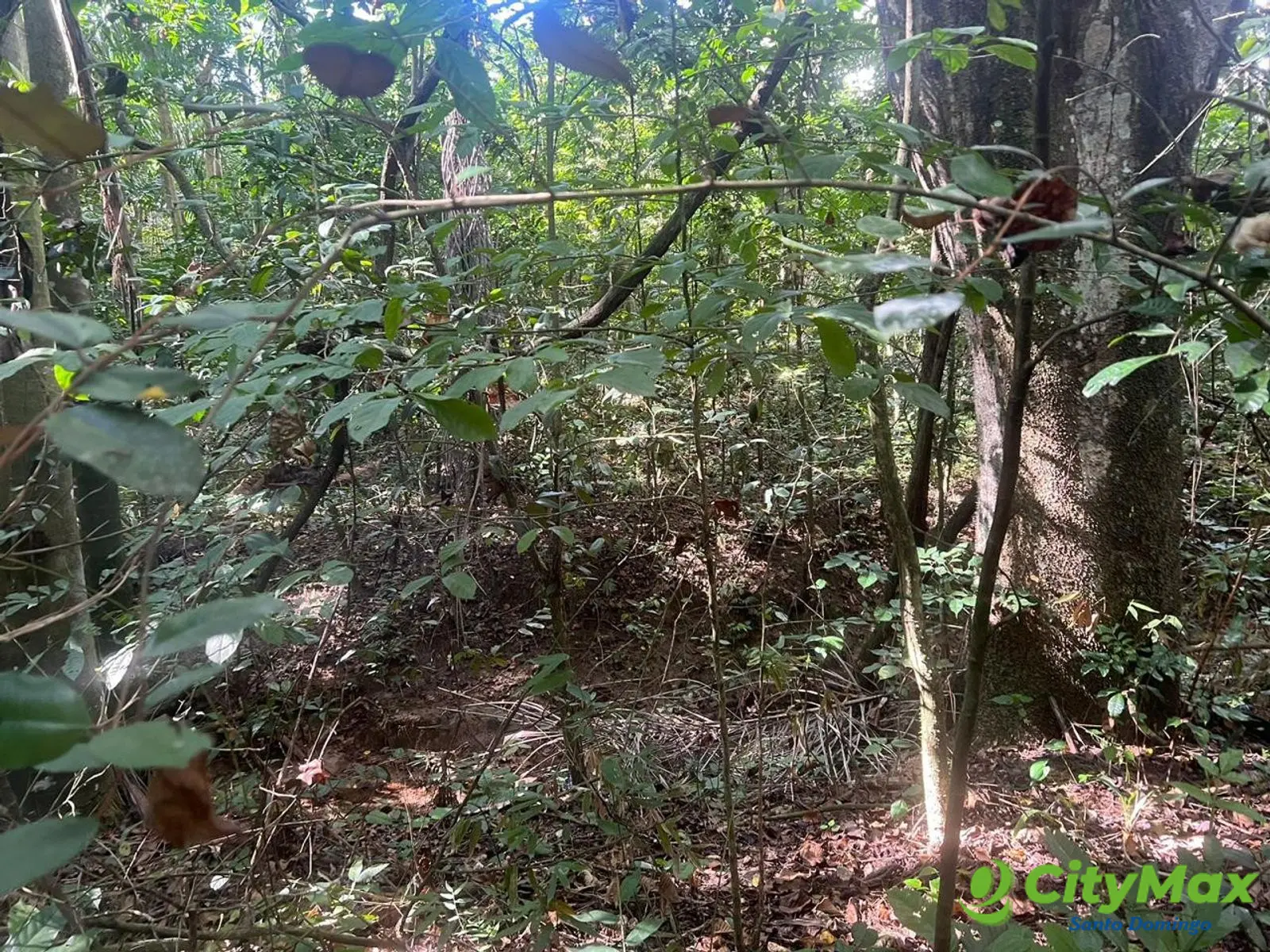 Terreno en Venta de 27,789 MTS2 Circunvalación Sto Dgo - foto 2