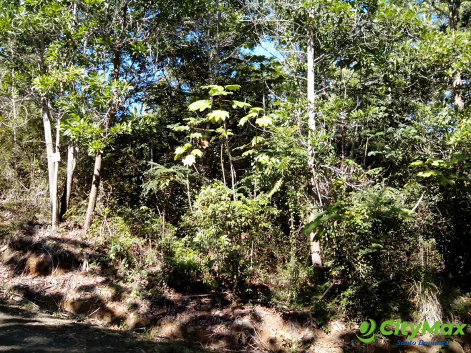 Solar en venta villa Altagracia en Proyecto Cerrado - foto 5