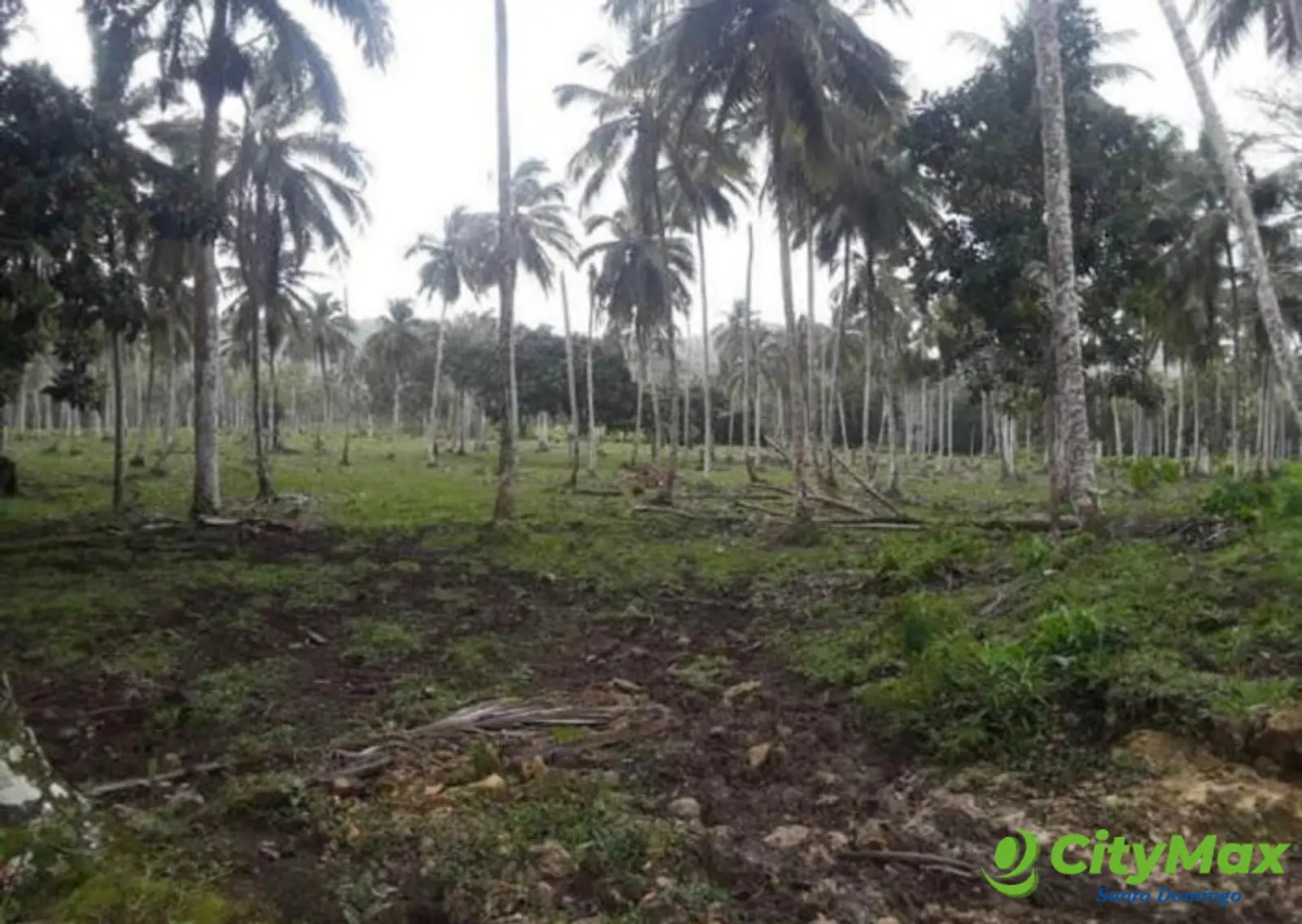 Finca en venta en Samaná - foto 6