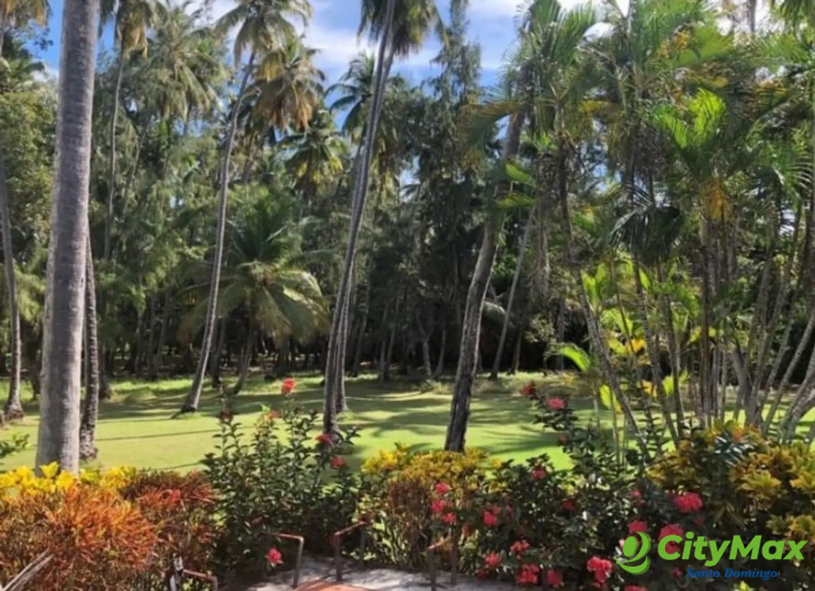 Terreno en venta Primera Linea de Playa en Barahona - foto 6