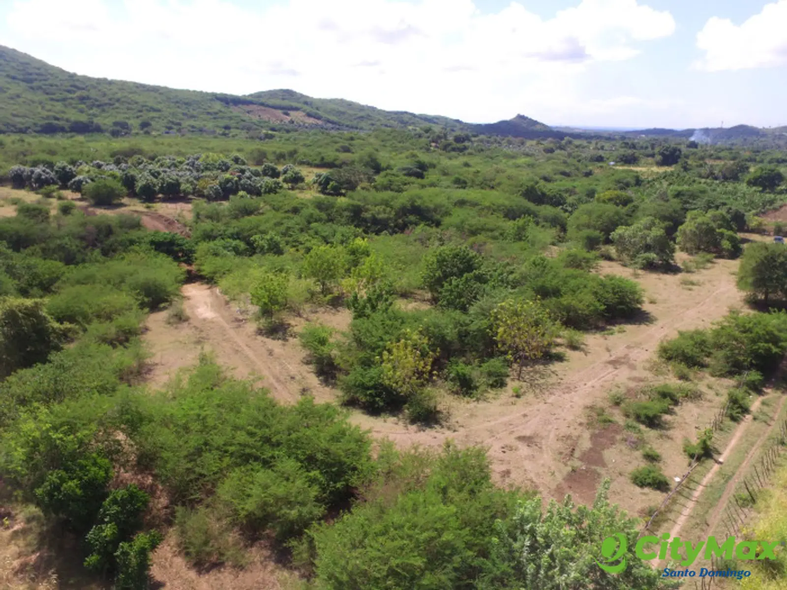 Terreno en Venta en Bani con ganado - foto 10