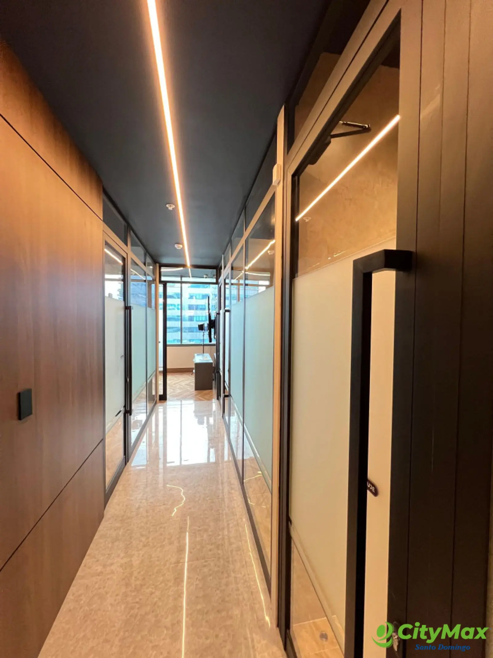 Local Comercial en Venta en Piantini Blue Mall - foto 14